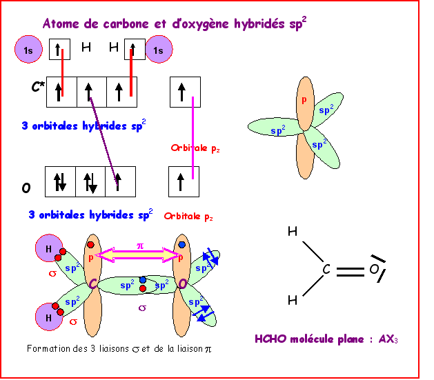 Le Carbone trigonal ou carbone sp2 — free download